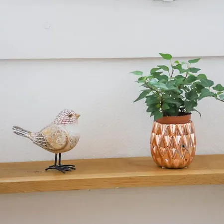 公寓 Le Sommeiller - Hyper Centre Avec Garage 阿讷西